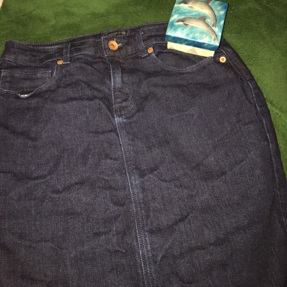 Lands End Skirt - Picture 1 of 5